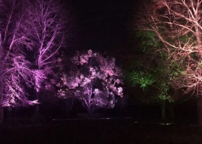 Iluminación Ornamental Quinta